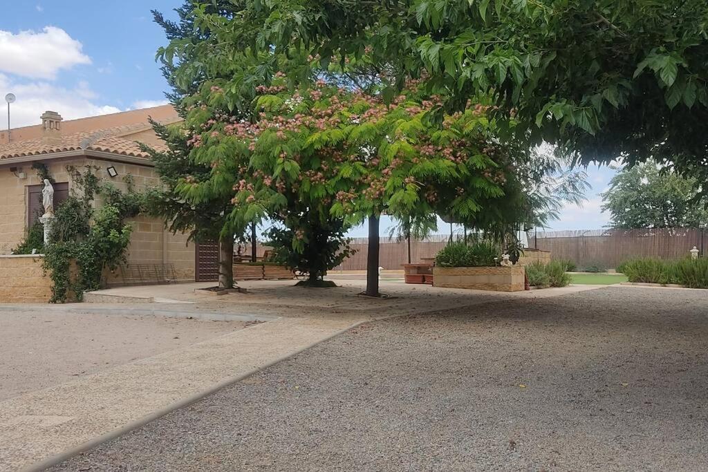 Finca El Pilar Madridejos Eksteriør billede
