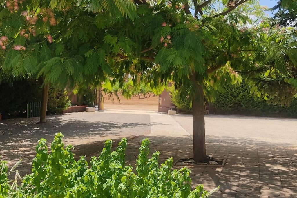 Finca El Pilar Madridejos Eksteriør billede