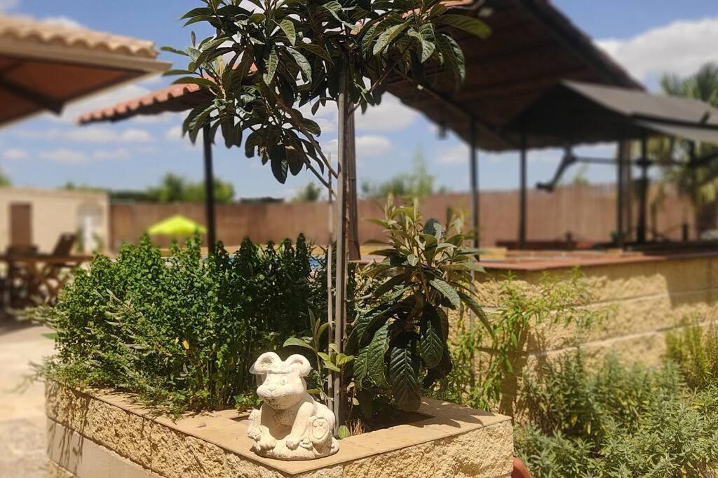 Finca El Pilar Madridejos Eksteriør billede